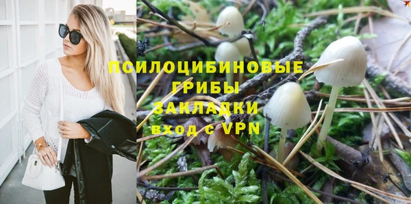 амф Балахна